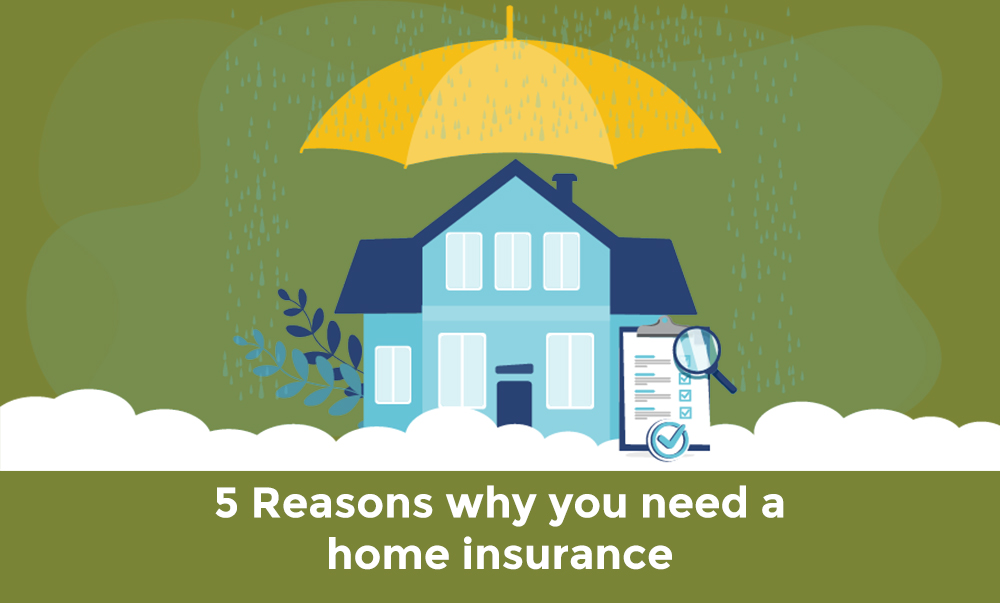 insurance